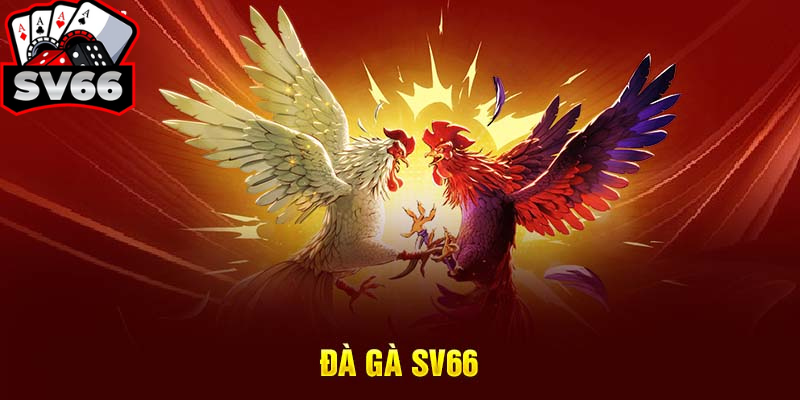 Đá Gà SV666